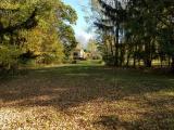 Back yard in fall