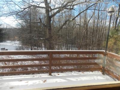 View from great room