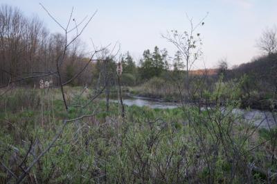 River valley wetland