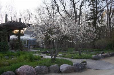 front yard spring