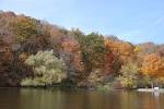 Friess Lake