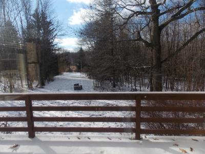 View from back deck