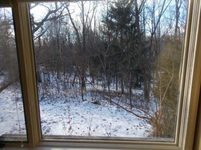 Library view