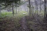 Trail to river