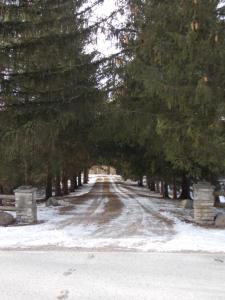 Drive entrance