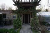 front yard spring