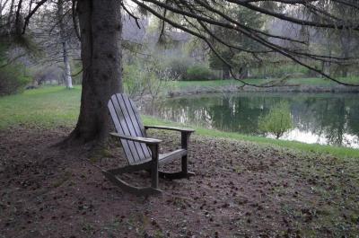 Rocker at pond