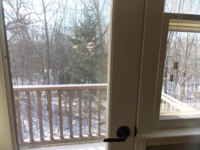 Ensuite north 2nd floorview from back