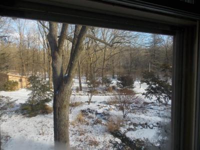 Front view from upstairs