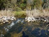 River