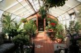 Greenhouse