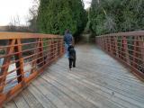 Lowe's Lake trail