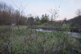 River valley wetland