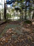 Trail in fall