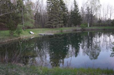 Pond