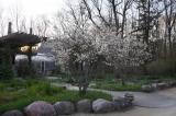 front yard spring