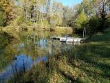 Pond and boat