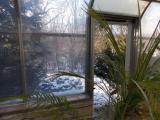 Back view from greenhouse