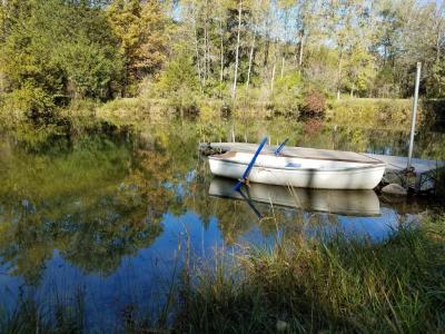 Pond and boat in summer