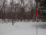 Winter scene