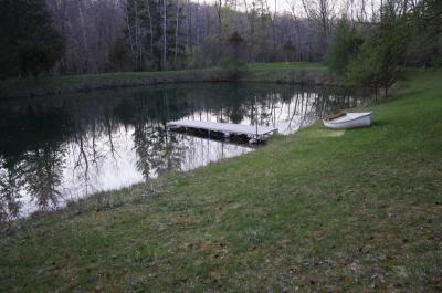 Pond in spring